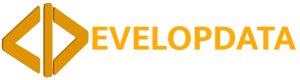 Developdata Web Design Timisoara