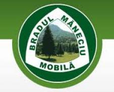 BRADUL MANECIU SRL