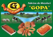 GOPA SRL