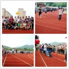 MAXIMAL SPORTS SRL