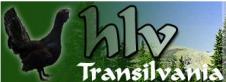 H L V TRANSILVANIA SRL