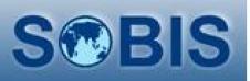 SOBIS SOLUTIONS SRL