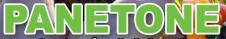 PANETONE SRL