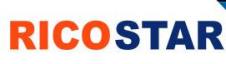 RICOSTAR SRL