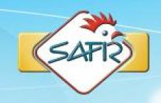 SAFIR