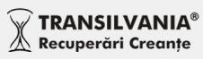 TRANSILVANIA RECUPERARI CREANTE