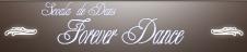 Forever Dance - Cursuri de dans