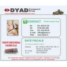DYAD GRUP