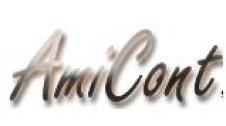 A.M.I. CONT SRL