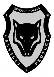 ASSAULT SECURITY