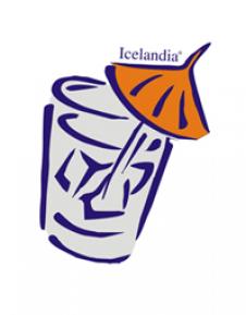 ICELANDIA S.R.L.