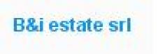 B&I ESTATE S.R.L.