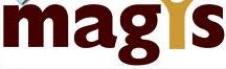 MAGIS EXPERT GROUP S.R.L.