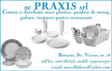 PRAXIS SRL