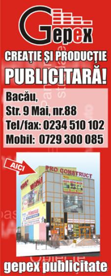 GEPEX SRL