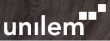 UNILEM SRL