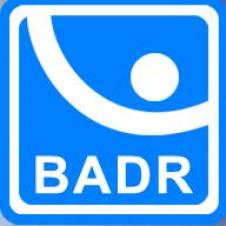 BAD RULMENTI SA