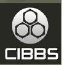 CIBBS PROIECT SRL