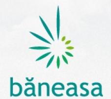 BANEASA INVESTMENTS SA