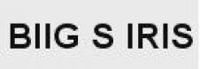 BIIG S IRIS SRL