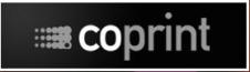 COMPANIA DE PRODUCTIE INTERTAINMENT SA