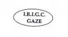 I R I G C INTREPRINDEREA DE REPARATII SI INSTALATII GAZE SI CONSTRUCTII IMPEX SRL