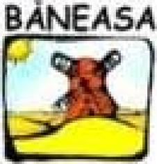 MORARIT PANIFICATIE BANEASA SA