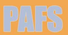 P.A.F.S. SRL
