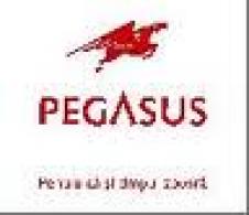 PEGASUS COURIER SRL