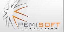 PEMISOFT CONSULTING SRL