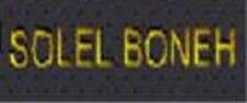 SOLEL BONEH INTERNATIONAL ROMANIA SRL