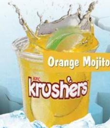 US FOOD NETWORK SA
