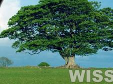 WISS TEHNIC SRL