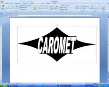  CAROMET SA
