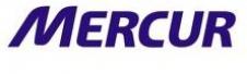  MERCUR INTERNATIONAL SRL