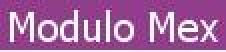 MODULO MEX SRL