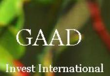 G.A.A.D. INVEST INTERNATIONAL SRL