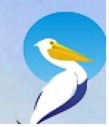 PELICAN SRL