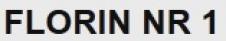 FLORIN NR 1 ELECTRONICS SRL