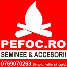 PEFOC.RO - Seminee