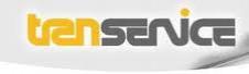 TRANSERVICE SRL