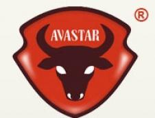 AVA STAR SRL