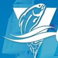 OCEAN FISH SRL