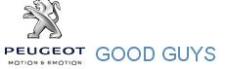 GOOD GUYS SRL