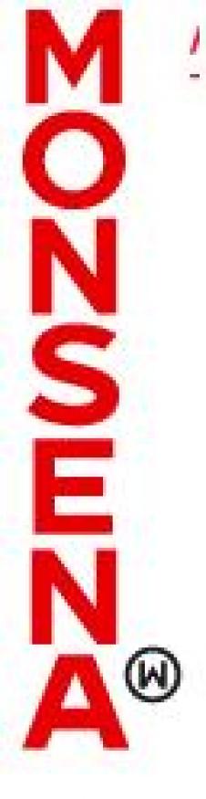 MONSENA SRL