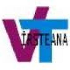 VIRSTEANA SERV SRL